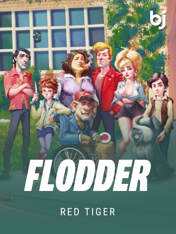 Flodder game cover